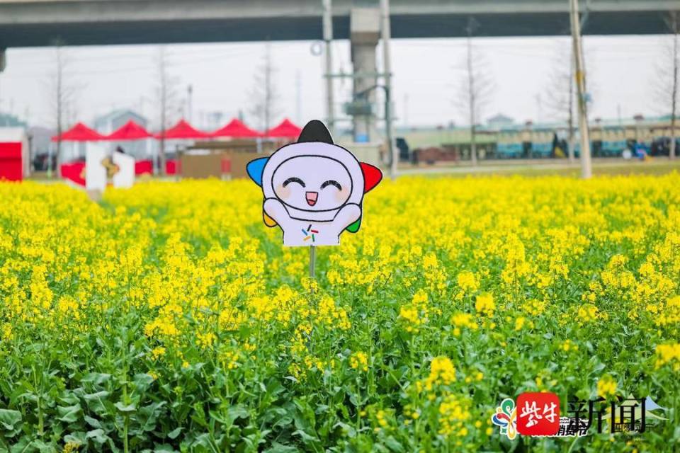 2024南京体育消费节暨四季永宁金色花海田园生活季开幕