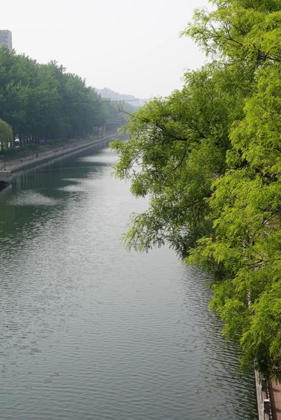 北京大爷的「渔」乐圈,年轻人挤破头想进?