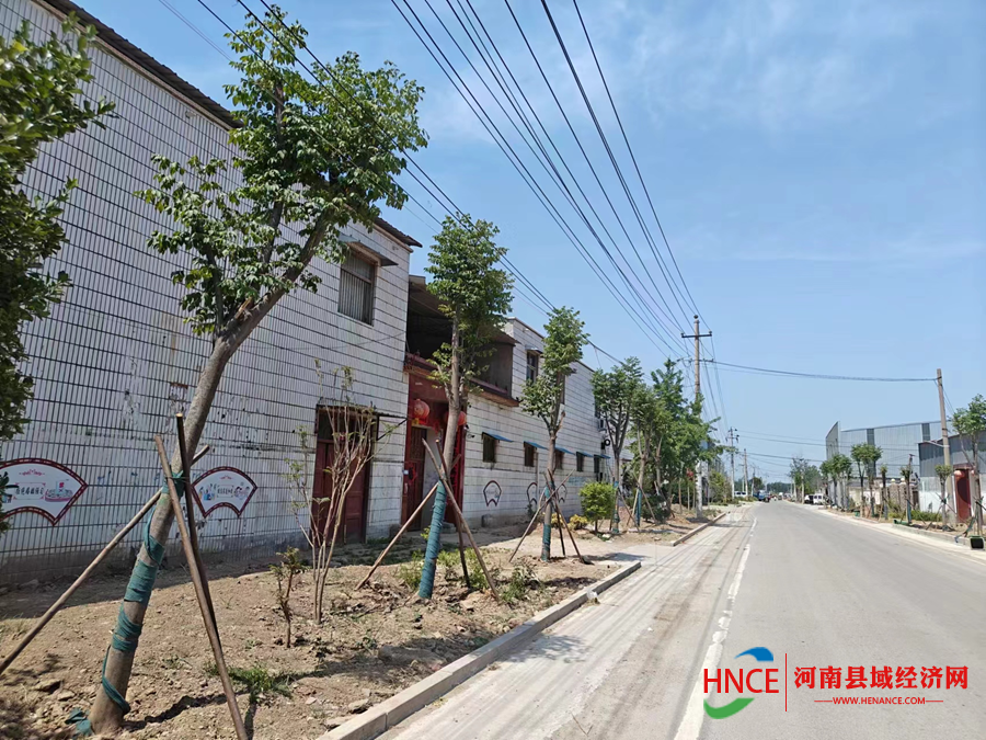 商丘市梁园区李庄镇牛庄村:"生态宜居"开新篇 乡村振兴正当时