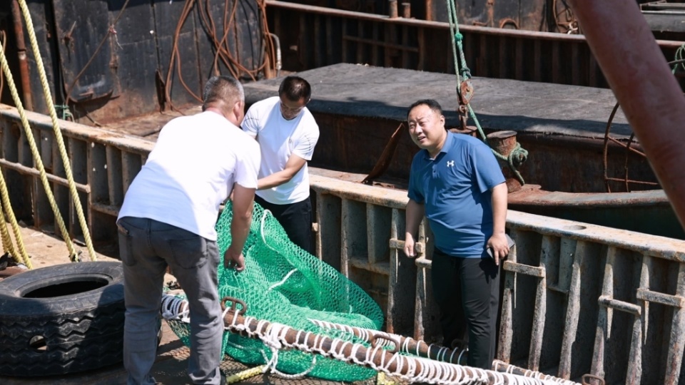 胶州市积极部署浒苔前置打捞工作 护航海洋生态环境