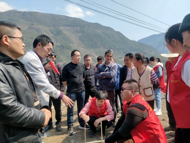 [南方生姜网-图片加载]