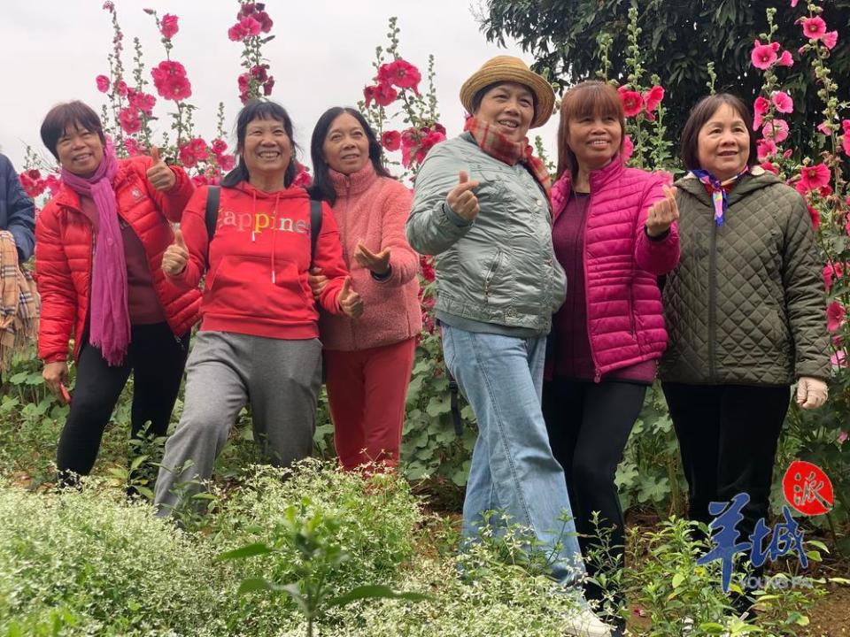 位于江门鹤山市宅梧镇的香草小镇,有良好的