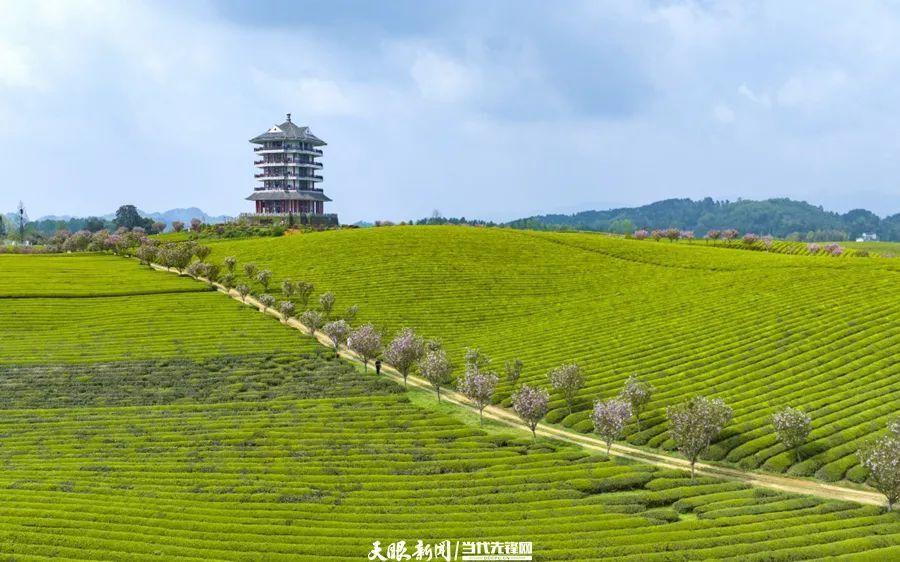 湄潭风景图片图片