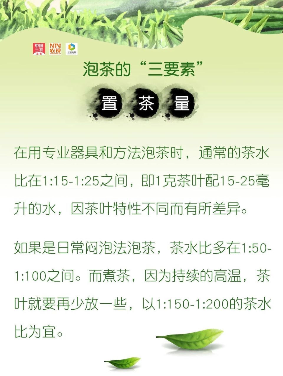 泡茶的讲究你了解多少?快来get新技能丨国际茶日