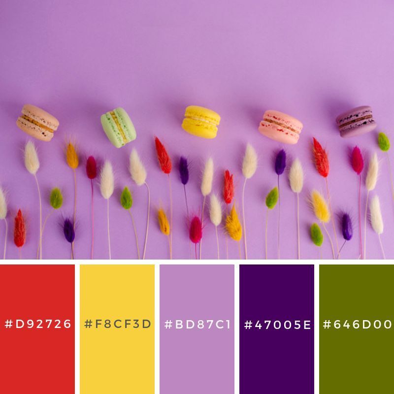 一组优美的配色方案_腾讯新闻