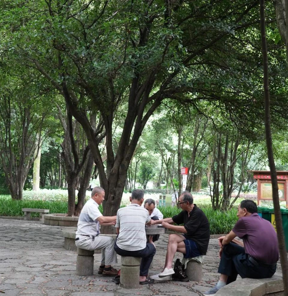 玩出新花样!桂林版"绿野仙踪"走红网络