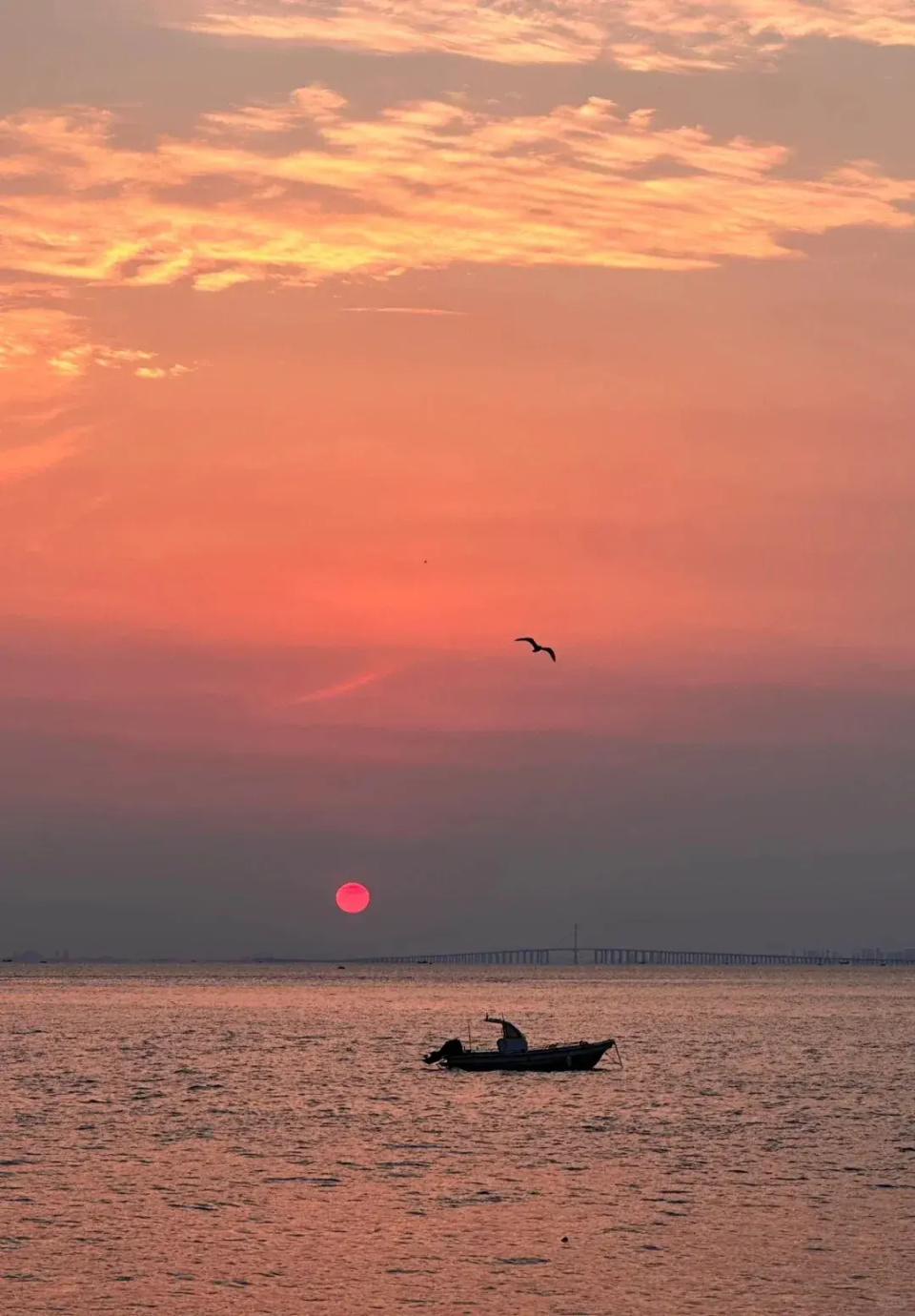 青岛大海图片 真实图片