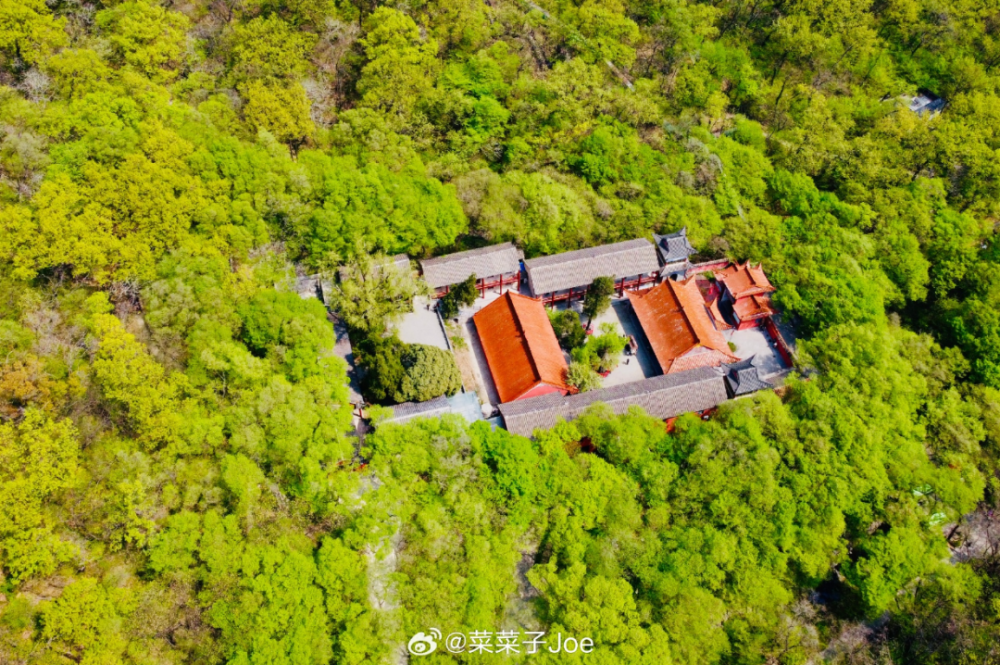 春游江淮 | 春游宿州皇藏峪国家森林公园,五柳景区与西山花海 来一场
