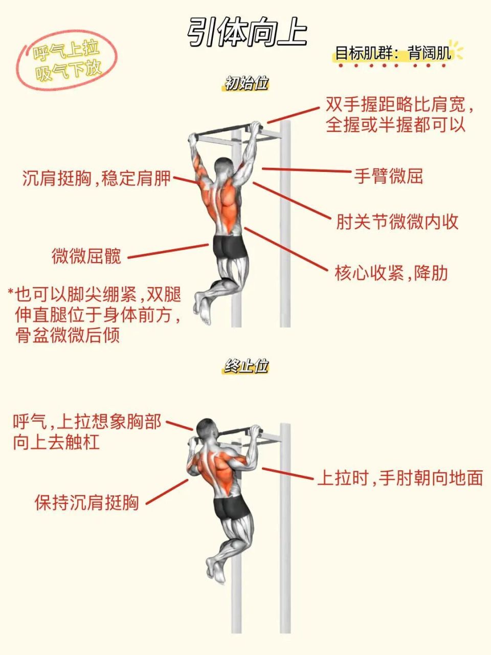 分享私教背部训练动作合集 ️背部线条感_腾讯新闻