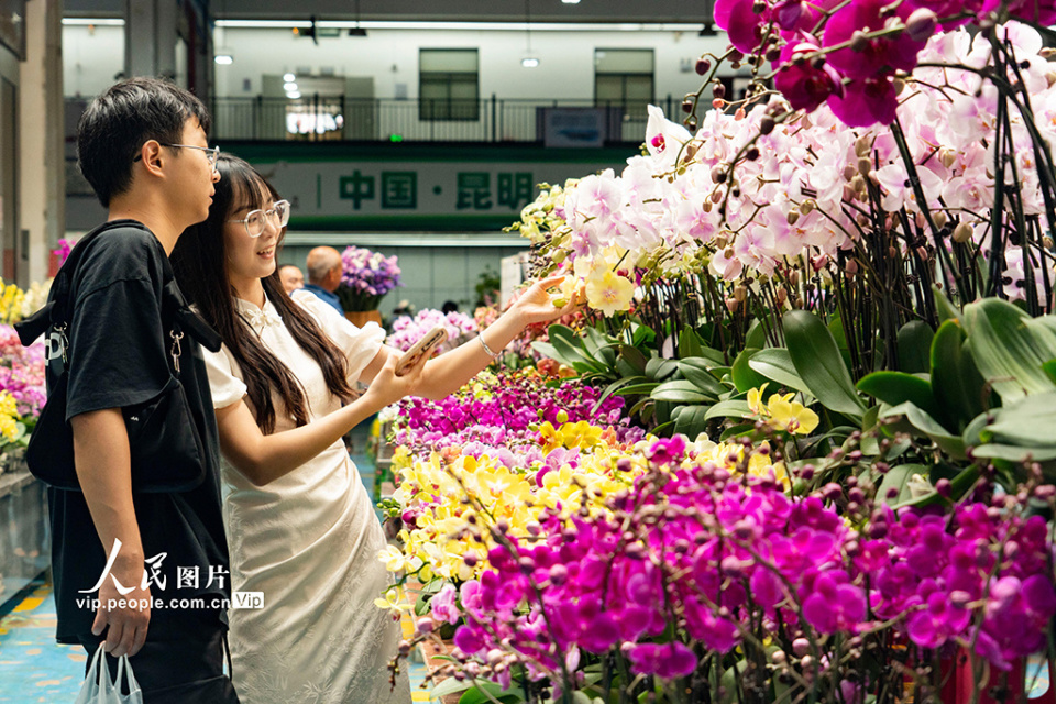云南昆明:斗南花卉市场人头攒动