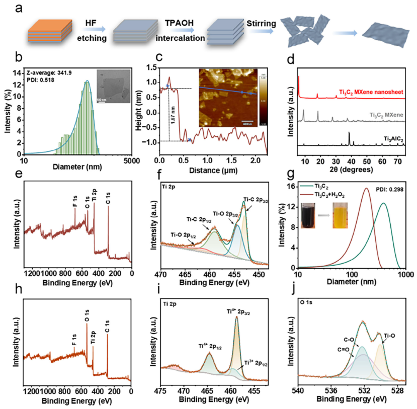 医用抗菌水凝胶怎么用南京工业大学AFM：新型可注射水凝胶为糖尿病脓肿治疗提供级联抗菌新策略_https://www.jmylbn.com_新闻资讯_第3张