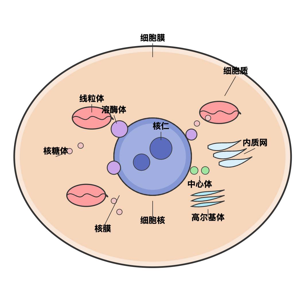 Free Course: 生物信息学from XuetangX | Class Central, image size:1070x1030