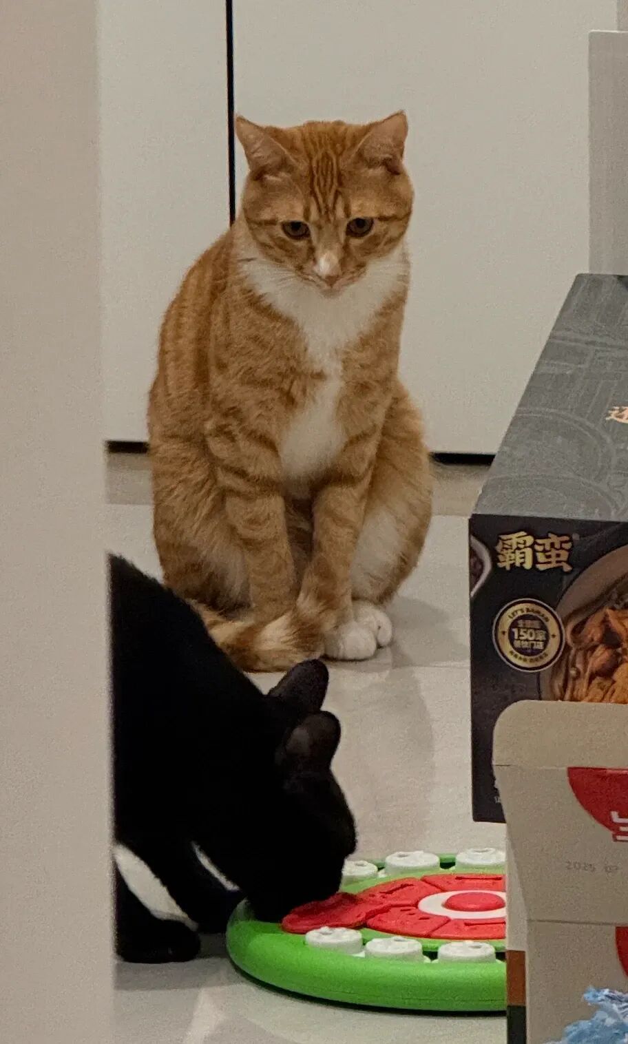 海水鼻腔喷雾器怎么用我们最近又买了 5 个好用的「新玩意」_https://www.jmylbn.com_新闻资讯_第7张