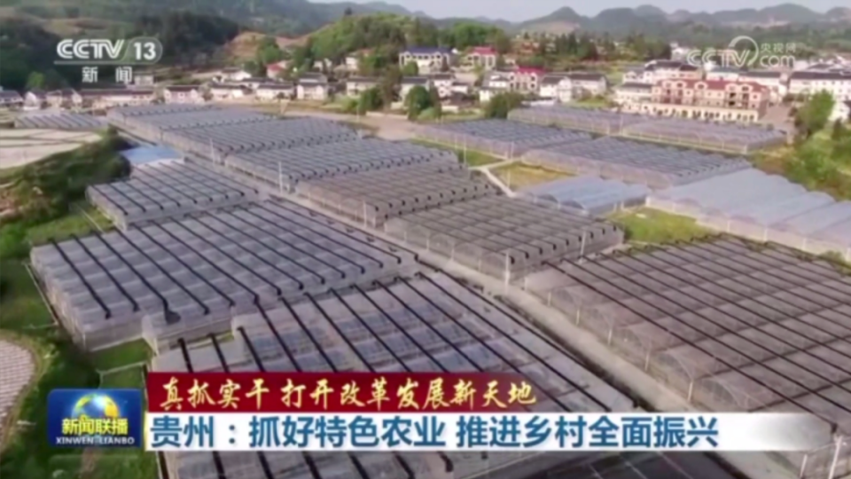 央视《新闻联播》聚焦贵州：抓好特色农业 推进乡村全面振兴_腾讯新闻