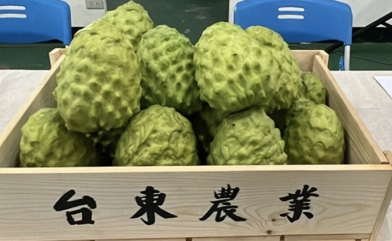 大陆恢复台湾番荔枝输入，台东县长致谢！称会努力把关品质_腾讯新闻