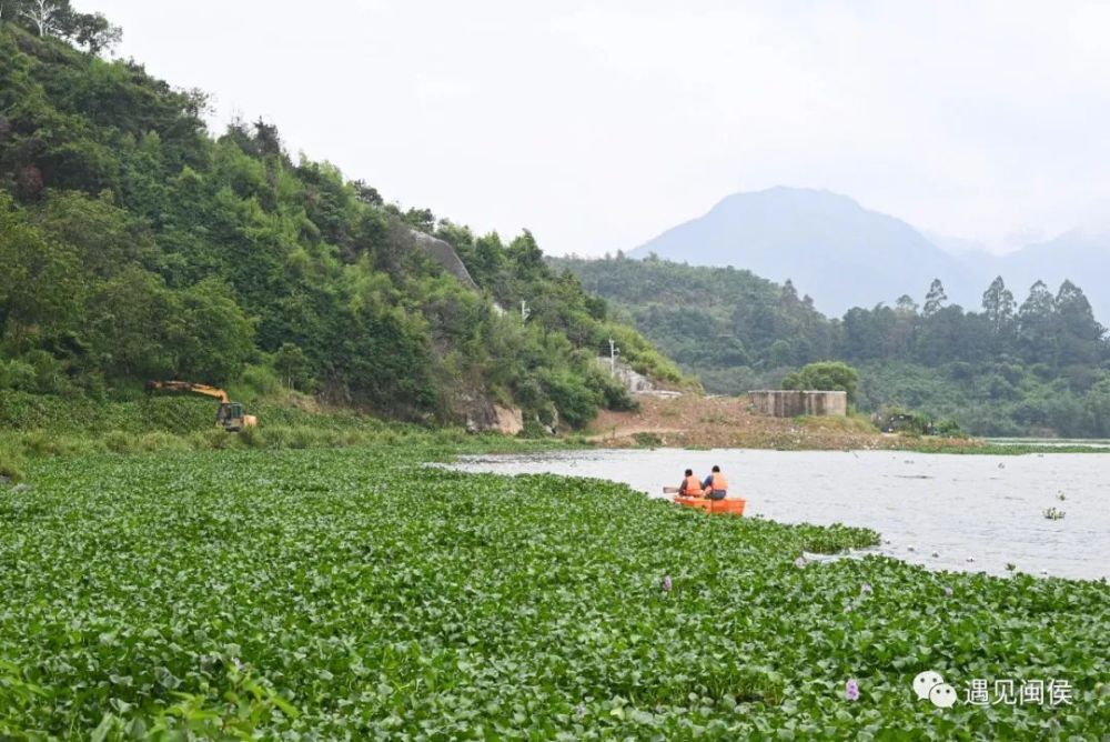 河湖焕新颜竹岐美了