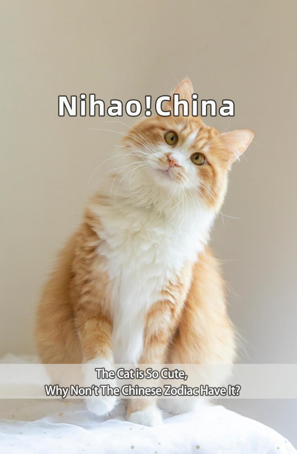 双语你好中国猫咪这么可爱为什么十二生肖没有它