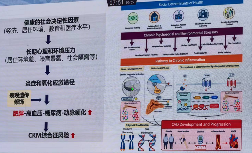 王友发教授:肥胖作为心血管-肾脏-代谢综合征的驱动因素 | 2024 北大