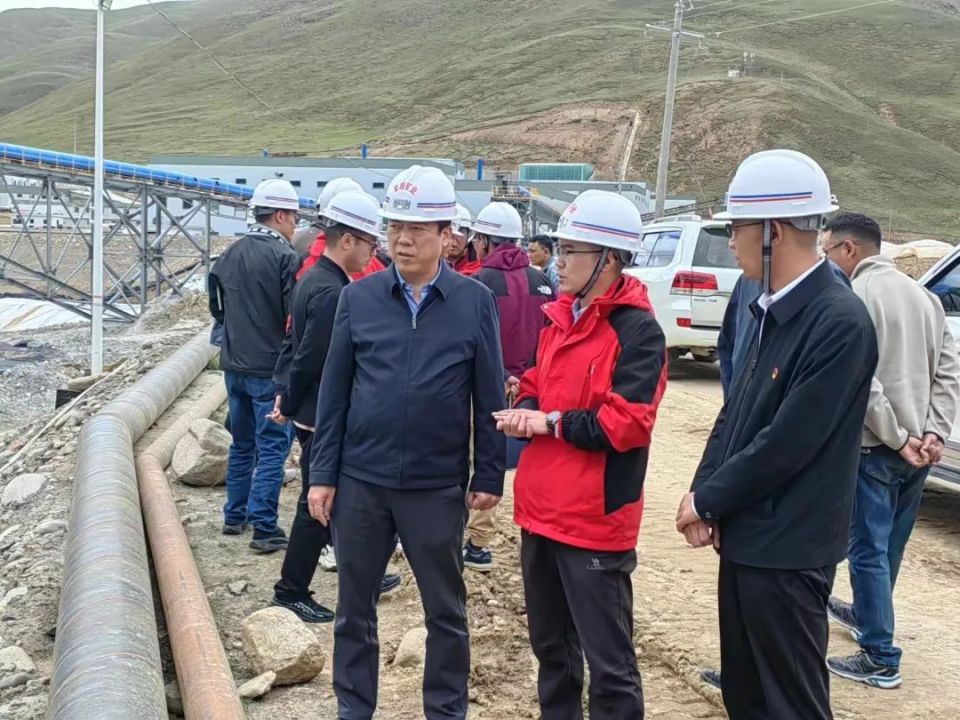 自治区第一生态环境保护督察组副组长李华强在谢通门县下沉督察