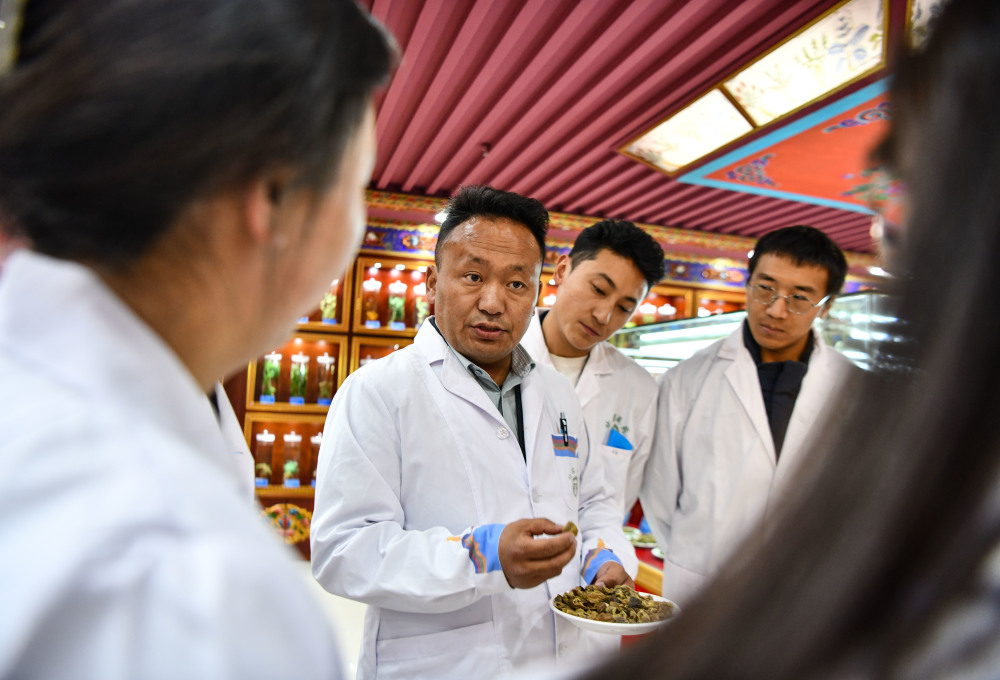 普穷次仁传承古老藏医药学推动行业技术创新