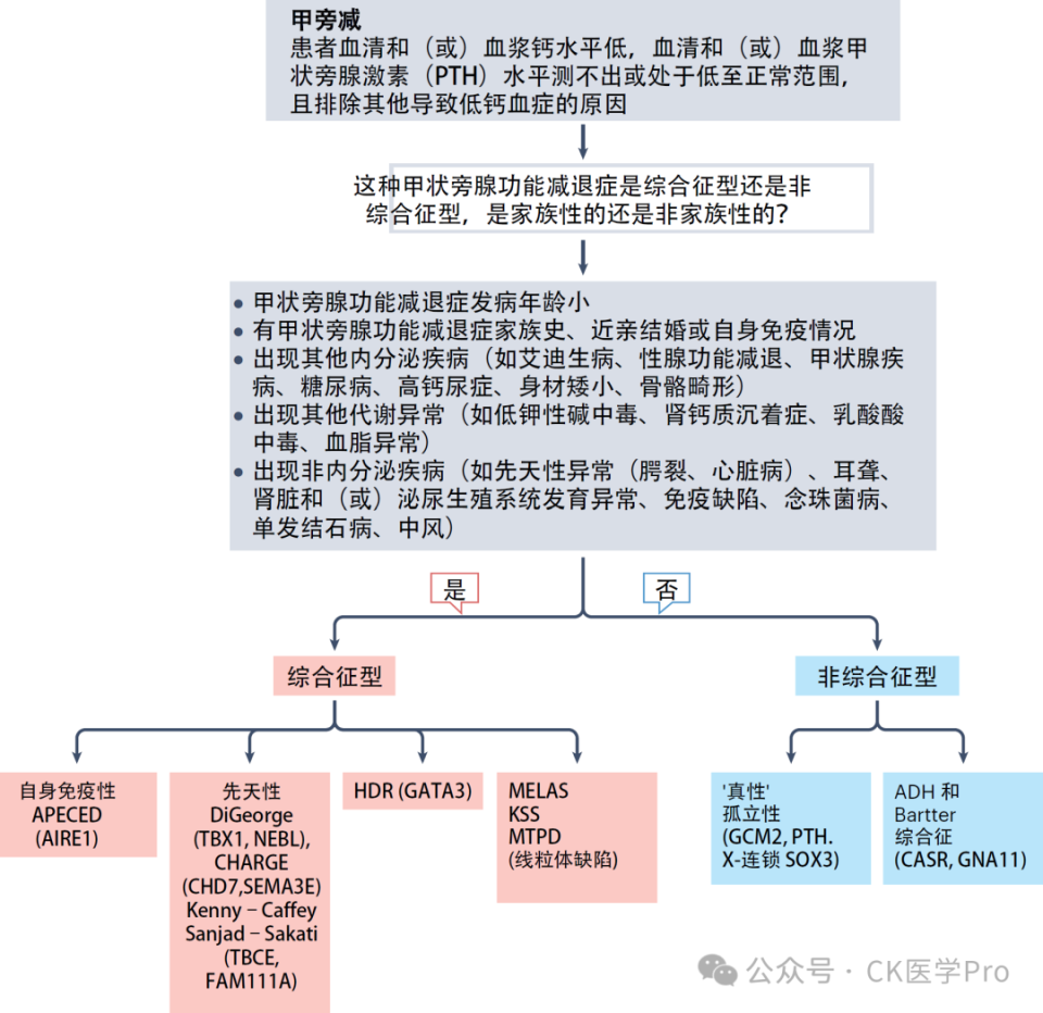 电子输注泵起什么作用临床综述 l 2025甲状旁腺功能减退症：诊断、管理与新兴疗法_https://www.jmylbn.com_新闻资讯_第5张
