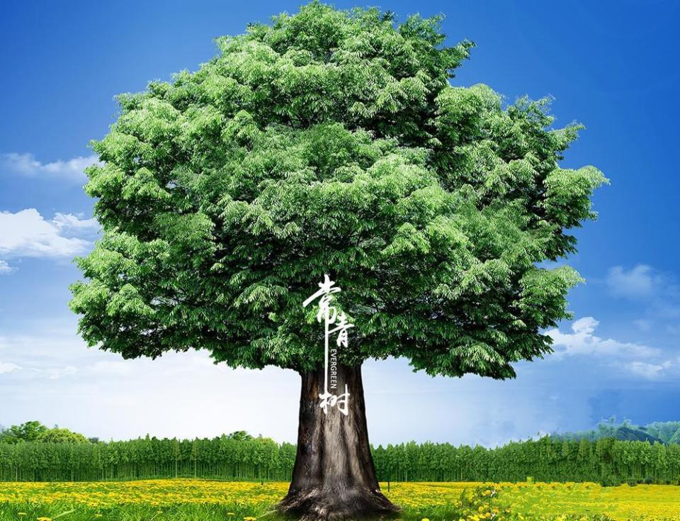 铅笔道5月16日消息,江苏常青树新材料科技股份有限公司发布公告,宣布