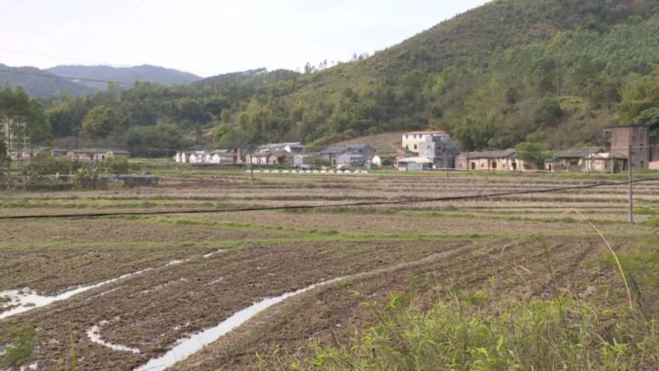 零投诉零上访 惠东县安墩镇下洞村入选全省乡村治理示范村