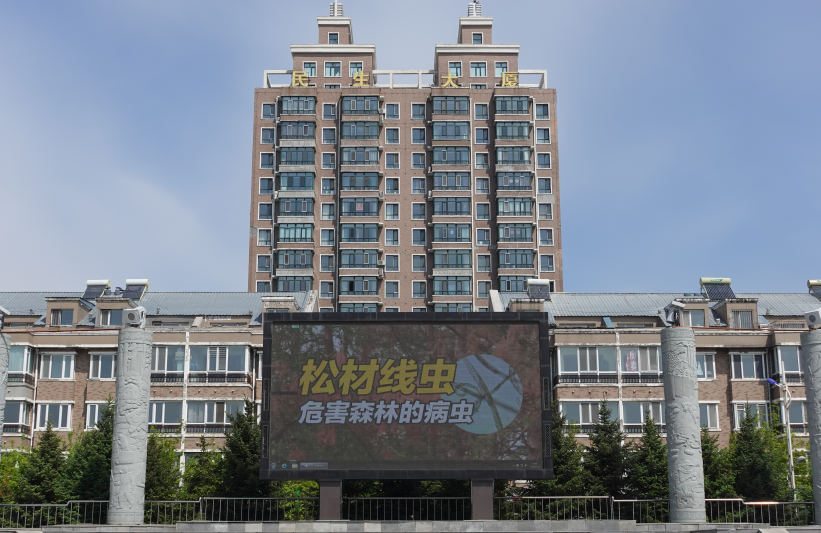 东方红,方正,绥阳,兴隆林业局有限公司通过微信公众号,视频号,广播