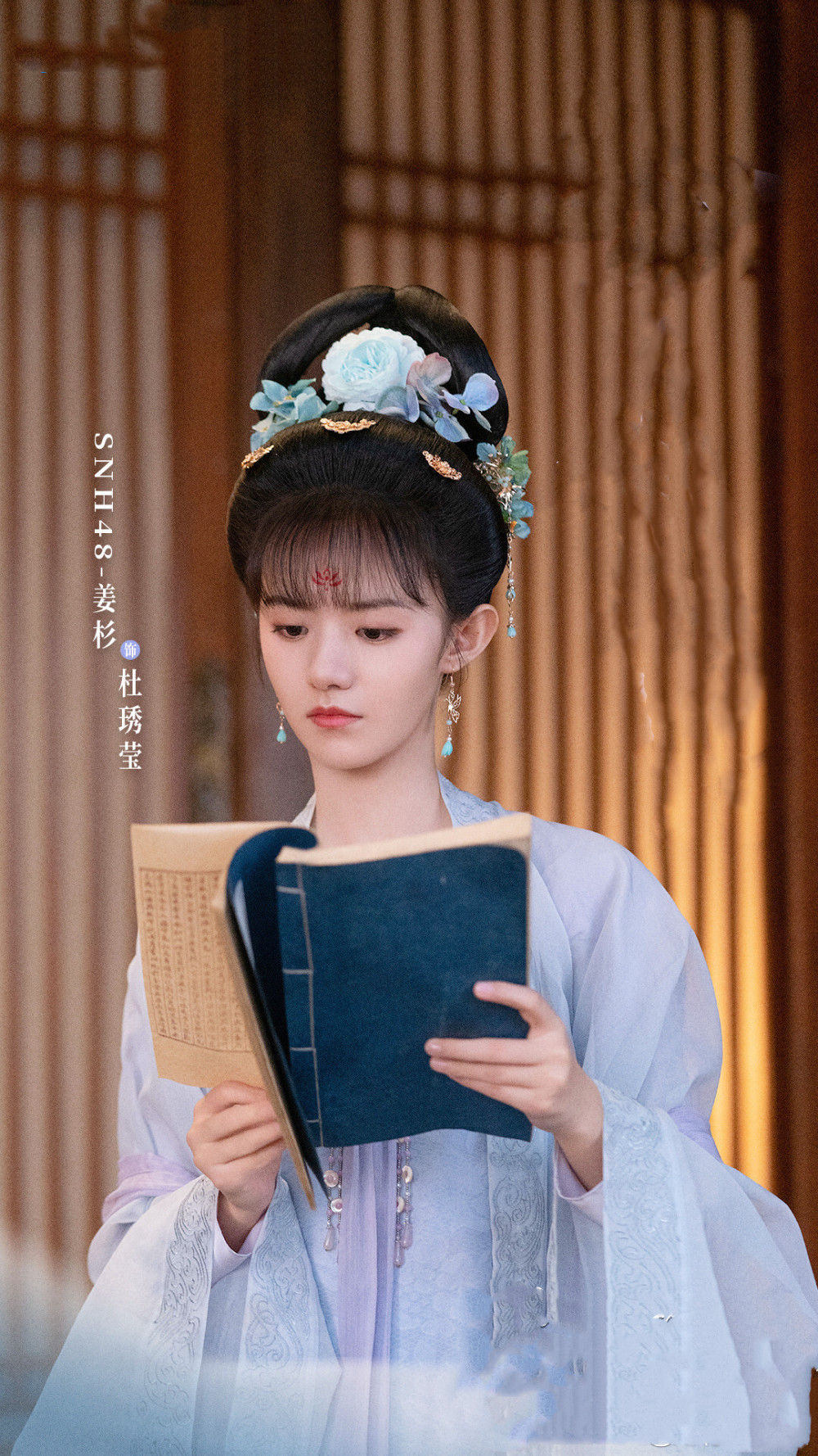 杜小姐也无意于太子,平日就爱看书,实打实的闺阁千金,比嘉敏更加墨守