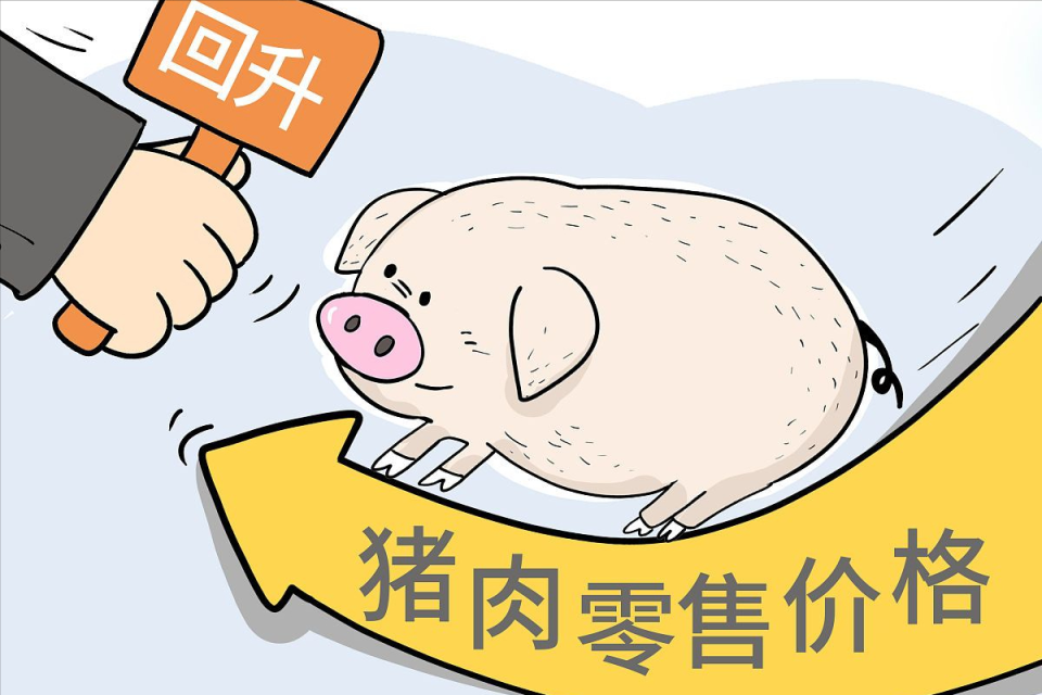 猪价下跌"势微",节后又要涨?附:6月10日猪价