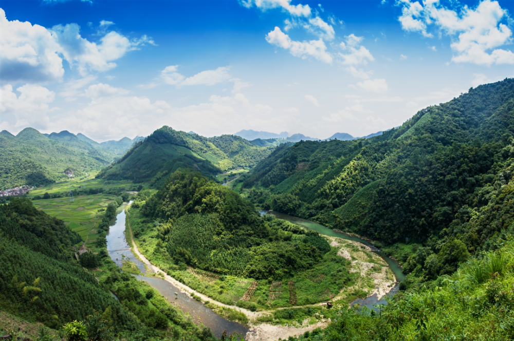 政府工作报告解读 丨坚持高标准实施绿美广东生态建设