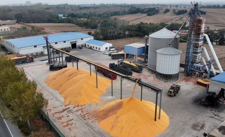 昌图县:玉米忙抢收 "丰"景美如画_腾讯新闻