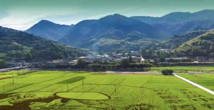 浙江要构建一湾引领,四极辐射,山海互济,全域美丽的国土空间新格局