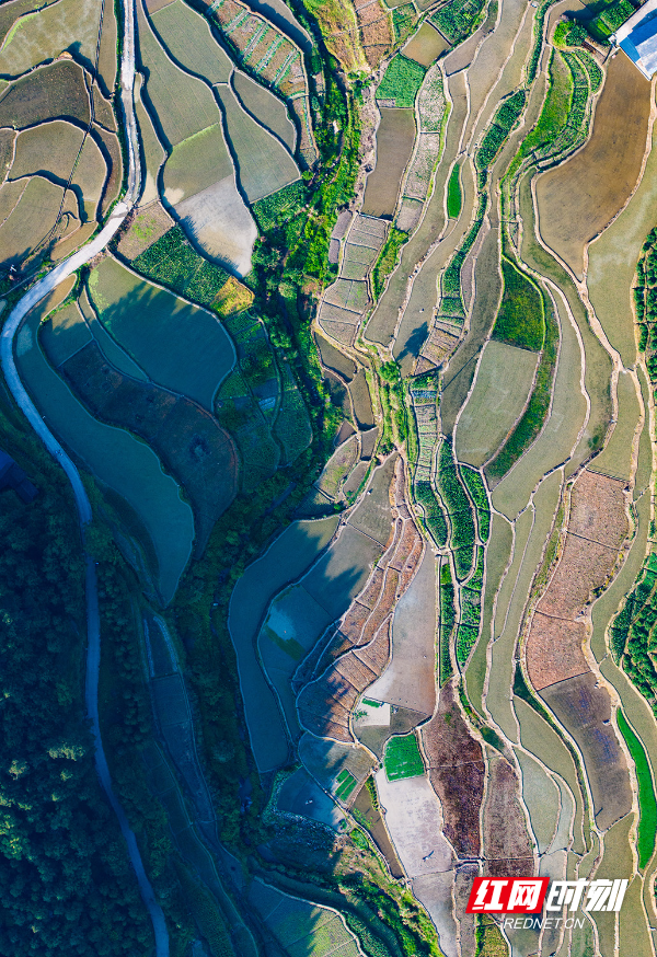 组图 | 中方江坪梯田美景如画