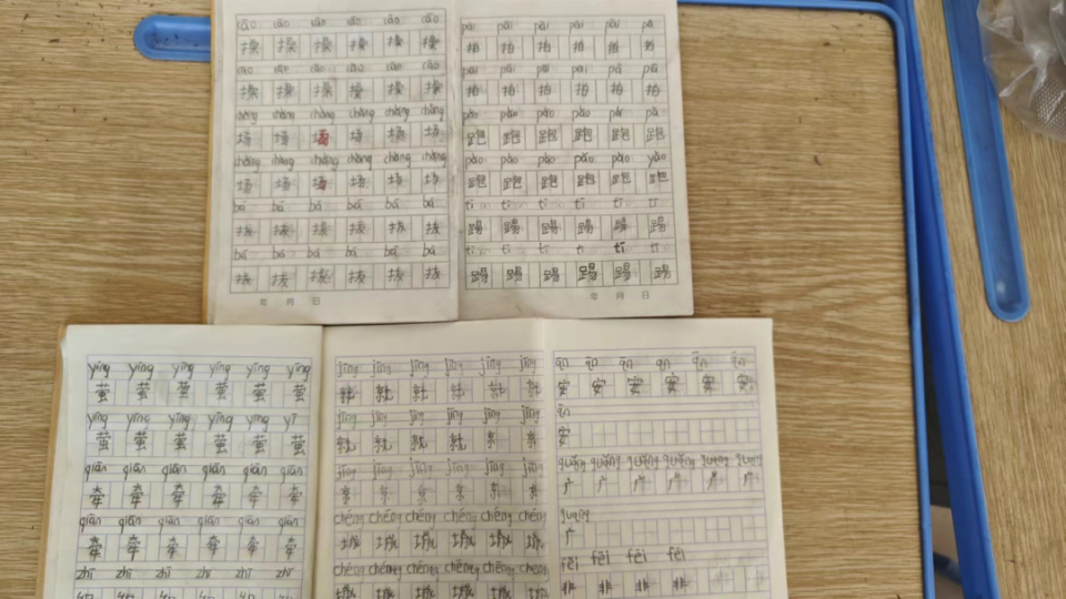 红河温度 | 高思莉:"严"字当头 管教有方