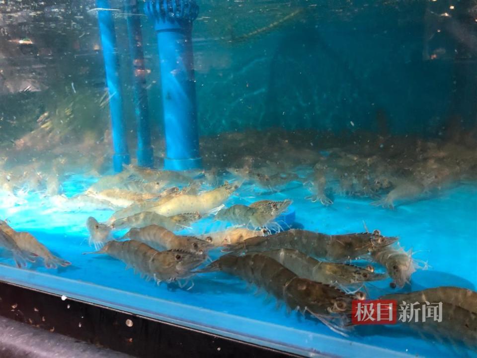 商贩介绍,28元一斤的基围虾是最近以来卖得最便宜的价格.