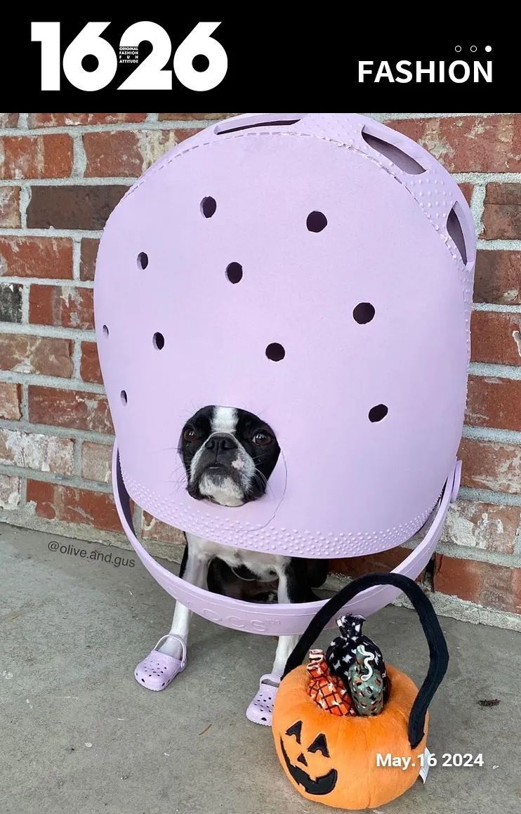 半年合作破双数,crocs 才是联名之王?