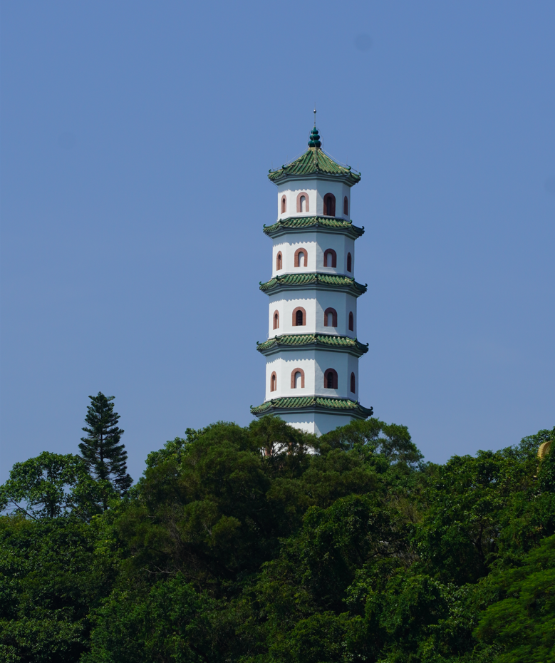 雁塔   江汛/摄不妨找个晴好的下午到增城体会中式美学传统韵味来