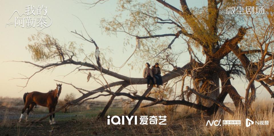 散文何以影视化?《我的阿勒泰》让文字美学走进大众视野