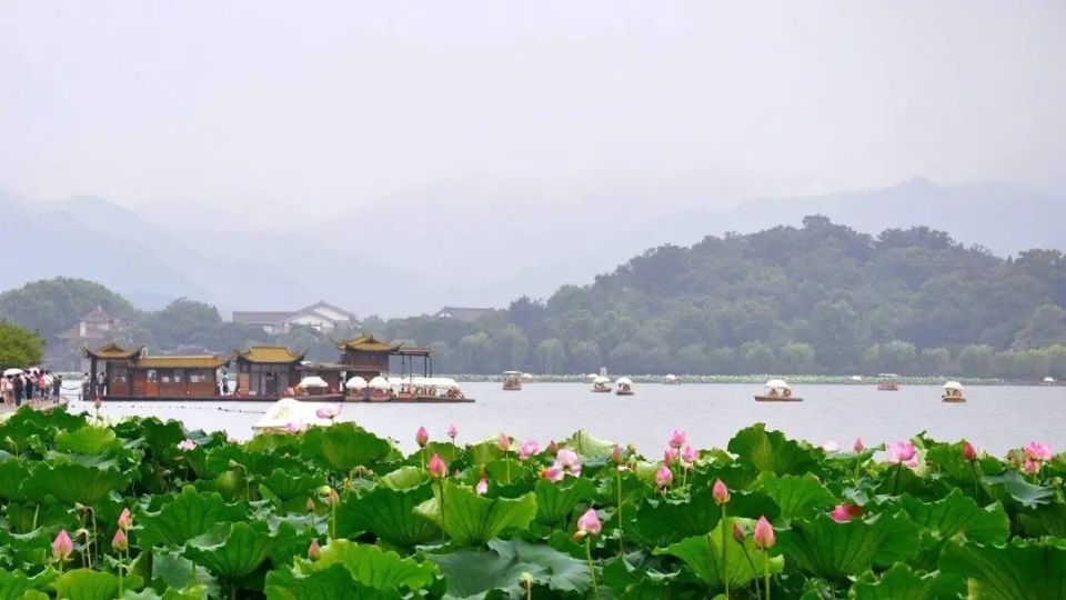 三月,是14亿人的花心季_腾讯新闻