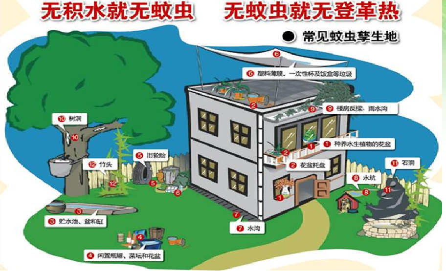 防蚊灭蚊小妙招,快收好!这些地方登革热暴发,五一出游