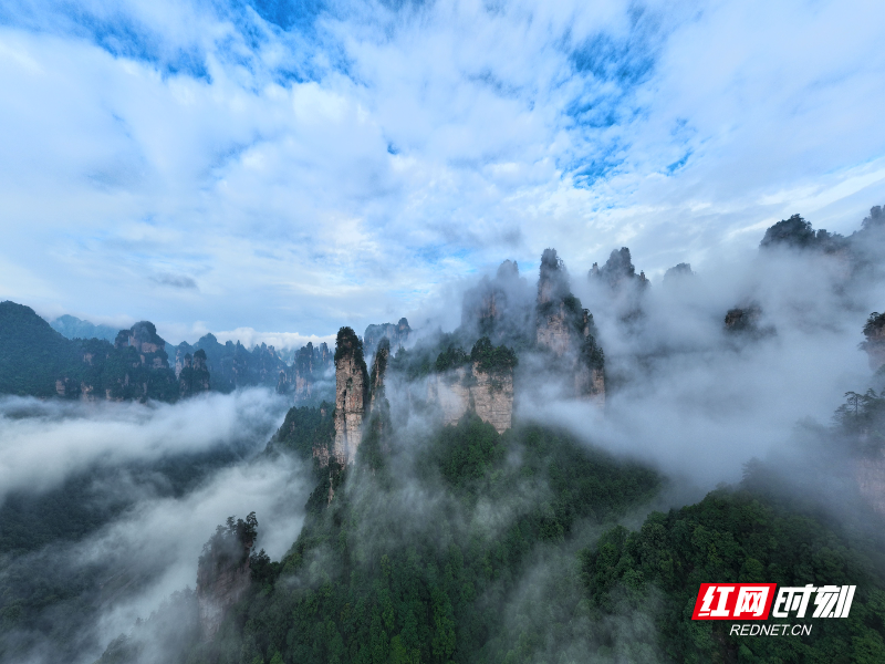 张家界武陵源:十里画廊峰林云海美如画