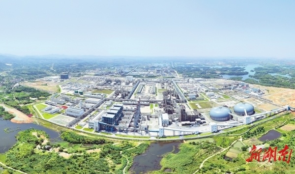 中部"链"出彩 并肩话崛起