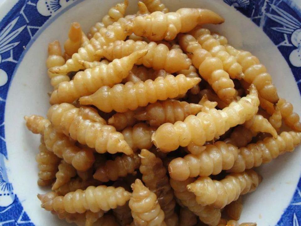 这种地下野果,长得像蚕宝宝,生吃脆甜可口,腌菜泡菜更是一绝