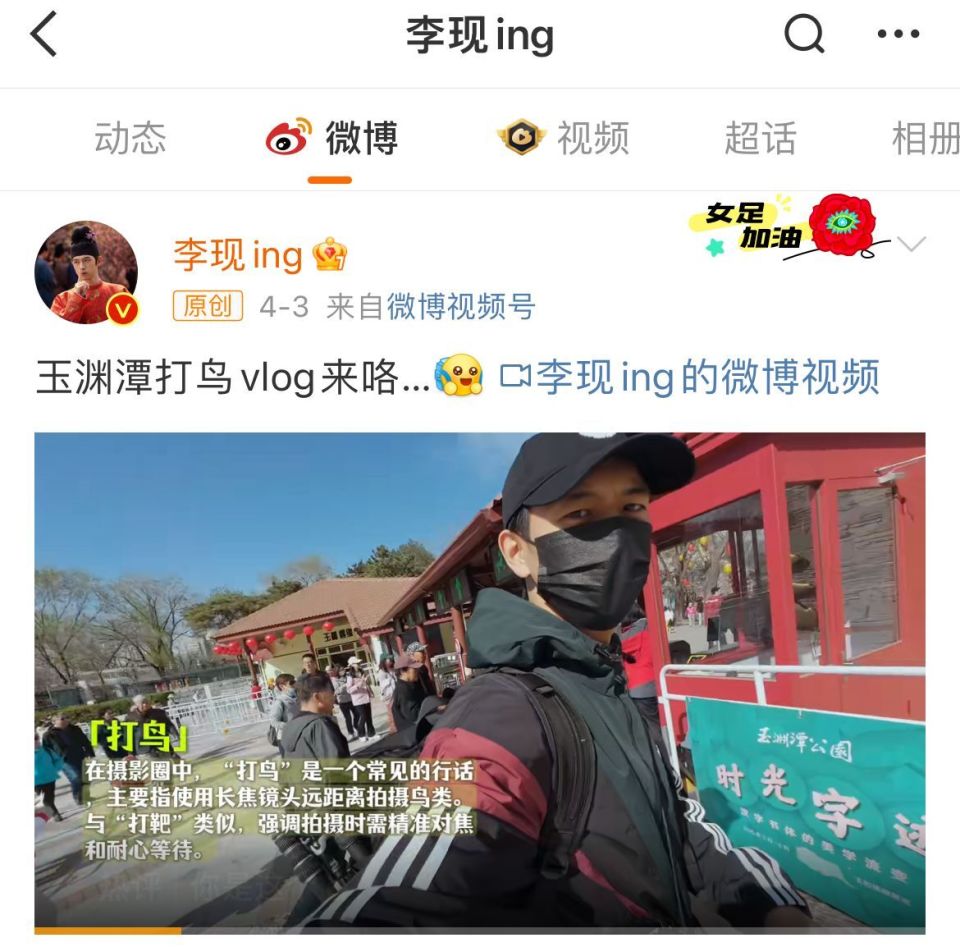 公园挤满“打鸟”的老大爷，为什么这么多人沉迷“打鸟”？会影响鸟的正常活动吗？