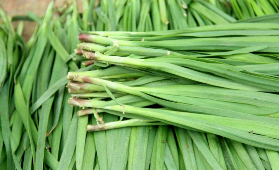 血糖高能吃韭菜吗?