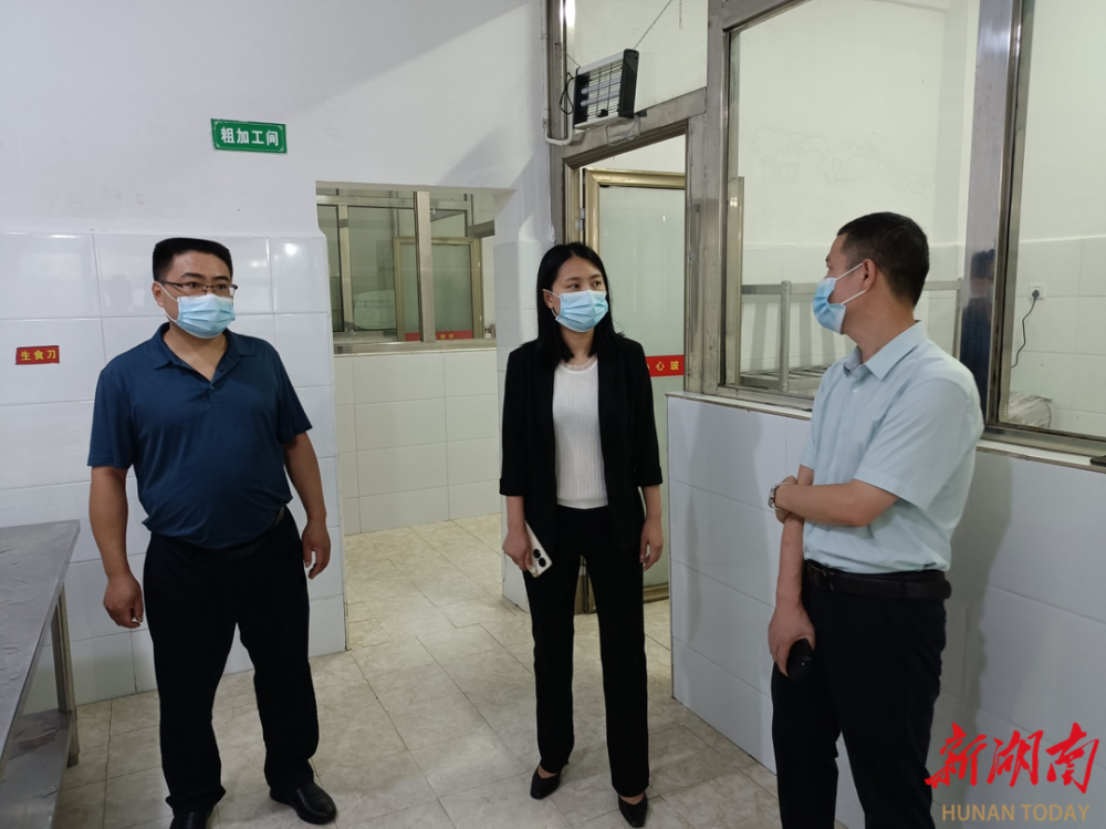 在县二中"徐特立项目"新建项目现场,石婧查看了项目征地,拆迁和建筑