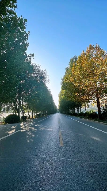 邂逅初夏 自驾京郊,这些"最美乡村路"值得打卡