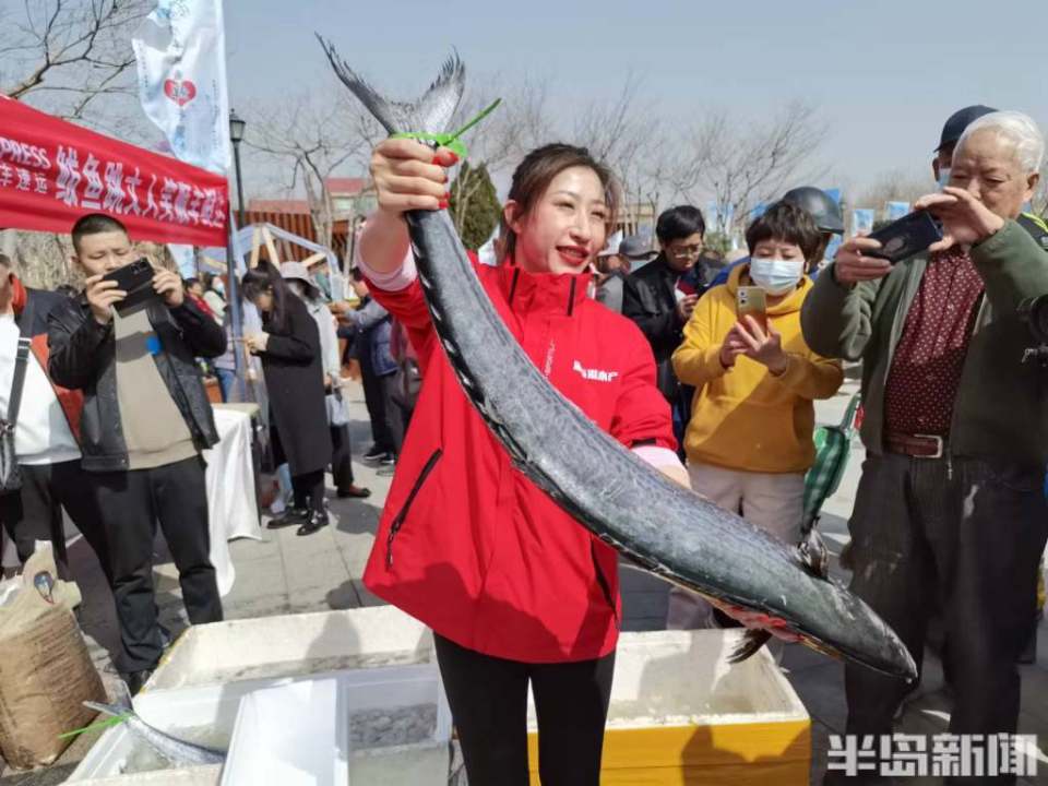 第二十届沙子口鲅鱼节火热开幕