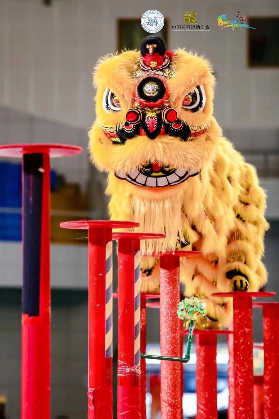2024年中华龙狮大赛(三亚站)收官_腾讯新闻